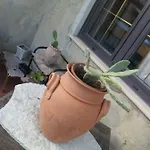 La Dea Bendata