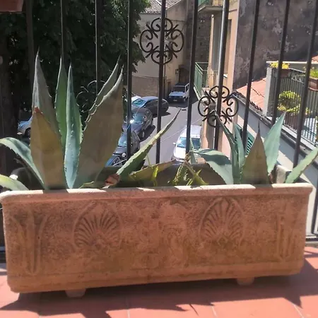 בית הארחה La Dea Bendata